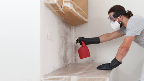 Professional Crawl Space Mold Remediation technician working in Dayton, MN