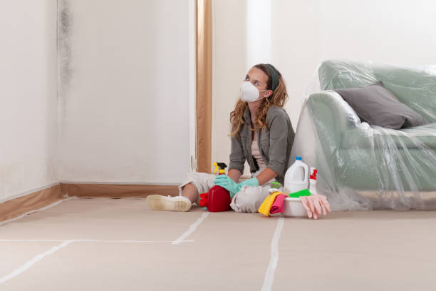 Reliable Crawl Space Mold Remediation contractor in Dayton, MN by Car Mold Remediation
